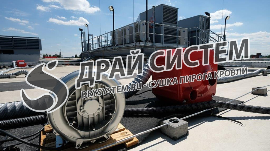 Услуги по просушке минваты в плоской крыше