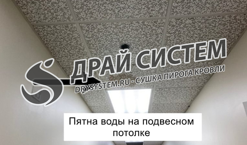 Просушка плоской (горизонтальной) кровли